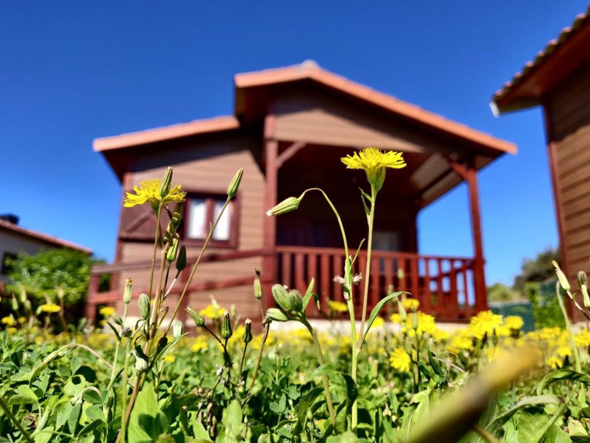 Vilanova de Prades Camping Bungalow Serra De Prades Resort المظهر الخارجي الصورة